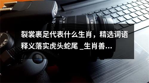 裂裳裹足代表什么生肖，精选词语释义落实虎头蛇尾 _生肖善良却易陷入被动实时意释
