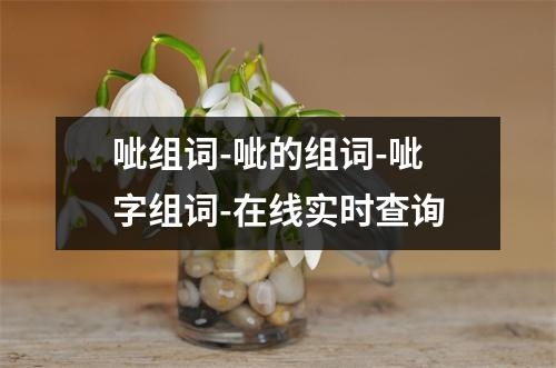 呲组词-呲的组词-呲字组词-在线实时查询