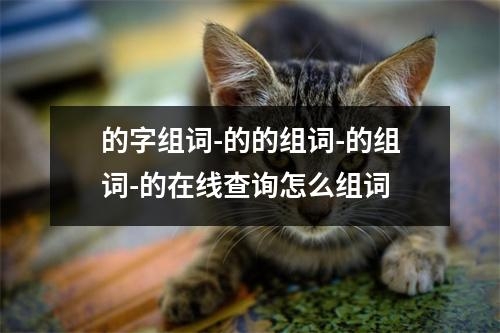 的字组词-的的组词-的组词-的在线查询怎么组词