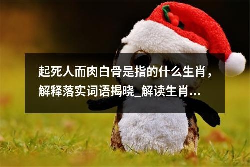 起死人而肉白骨是指的什么生肖，解释落实词语揭晓_解读生肖猴的含义实时意释