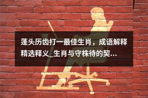 蓬头历齿打一最佳生肖，成语解释精选释义_生肖与守株待的契合实时意释