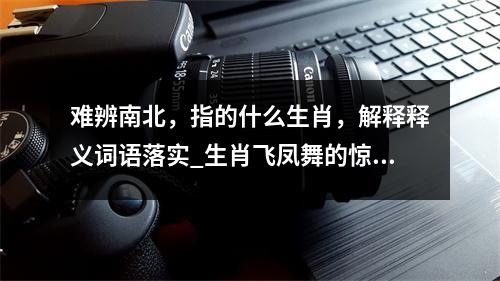 难辨南北，指的什么生肖，解释释义词语落实_生肖飞凤舞的惊喜实时意释