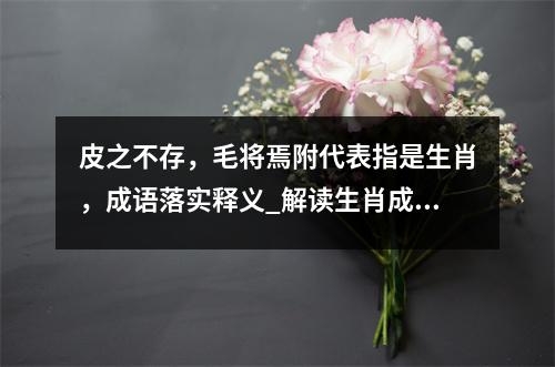 皮之不存，毛将焉附代表指是生肖，成语落实释义_解读生肖成语下的神秘寓言实时意释