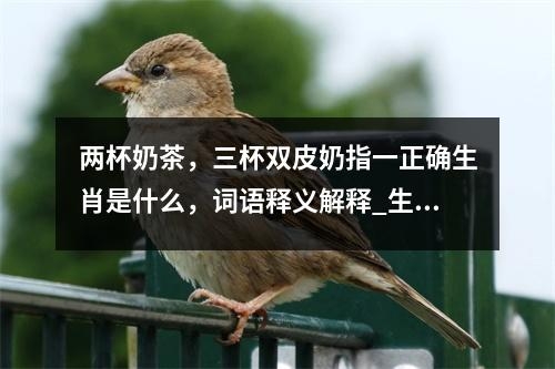 两杯奶茶，三杯双皮奶指一正确生肖是什么，词语释义解释_生肖跳跃中的喜悦传递实时意释