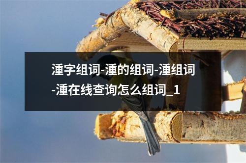湩字组词-湩的组词-湩组词-湩在线查询怎么组词_1