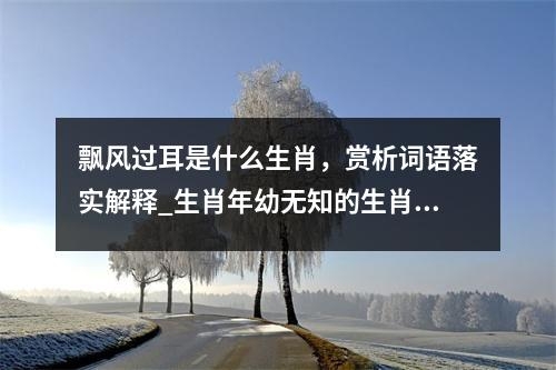 飘风过耳是什么生肖，赏析词语落实解释_生肖年幼无知的生肖探秘实时意释
