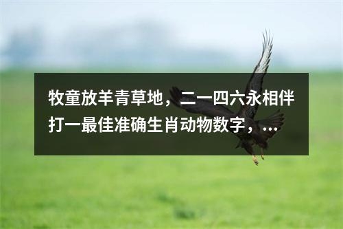 牧童放羊青草地，二一四六永相伴打一最佳准确生肖动物数字，释义已答精选_揭秘最佳准确生肖之龙实时意释