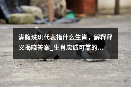 满腹珠玑代表指什么生肖，解释释义揭晓答案_生肖忠诚可靠的黄花忠诚实时意释