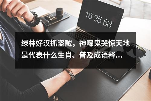 绿林好汉抓盗贼，神嚎鬼哭惊天地是代表什么生肖、普及成语释义解释_生肖的威猛与情绪的火山爆发实时意释