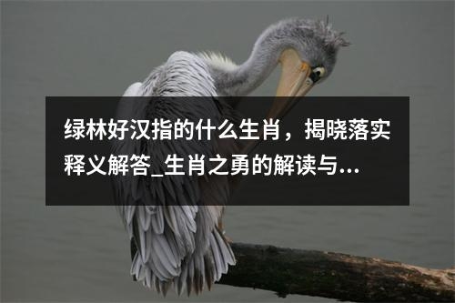绿林好汉指的什么生肖，揭晓落实释义解答_生肖之勇的解读与释义实时意释