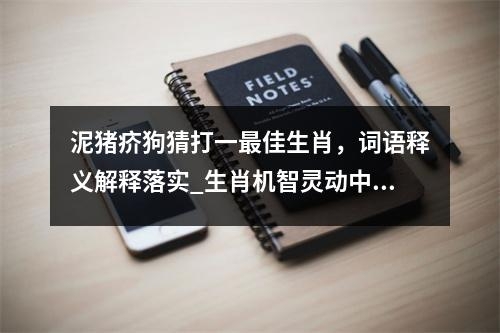 泥猪疥狗猜打一最佳生肖，词语释义解释落实_生肖机智灵动中的萧瑟之秋实时意释