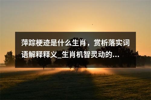 萍踪梗迹是什么生肖，赏析落实词语解释释义_生肖机智灵动的小偷实时意释