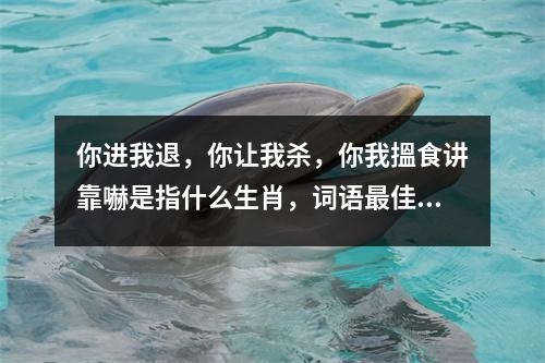 你进我退，你让我杀，你我搵食讲靠嚇是指什么生肖，词语最佳释义_解读生肖中的那些“呆萌”代表实时意释