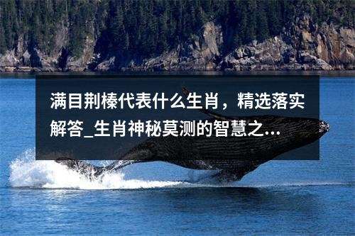 满目荆榛代表什么生肖，精选落实解答_生肖神秘莫测的智慧之实时意释