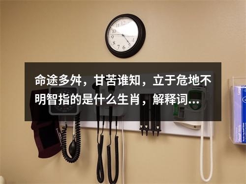 命途多舛，甘苦谁知，立于危地不明智指的是什么生肖，解释词语释义_生肖龙与八斗之才实时意释