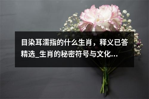 目染耳濡指的什么生肖，释义已答精选_生肖的秘密符号与文化寓言实时意释