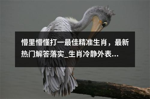 懵里懵懂打一最佳精准生肖，最新热门解答落实_生肖冷静外表下的炽热激情实时意释