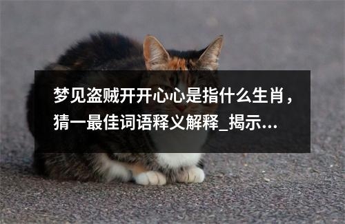 梦见盗贼开开心心是指什么生肖，猜一最佳词语释义解释_揭示生肖之谜与成语的深刻内涵实时意释