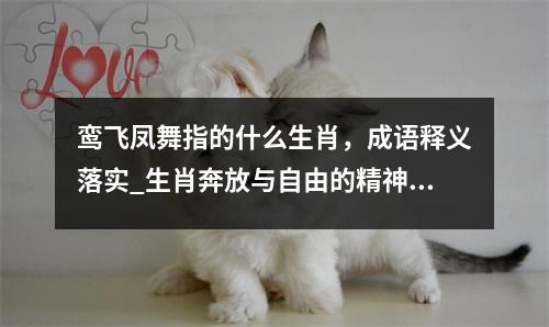 鸾飞凤舞指的什么生肖，成语释义落实_生肖奔放与自由的精神实时意释