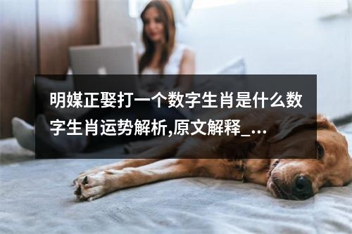 明媒正娶打一个数字生肖是什么数字生肖运势解析,原文解释_生肖之谜与成语的深邃含义实时意释