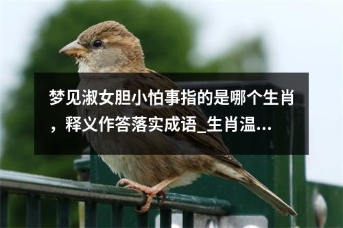 梦见淑女胆小怕事指的是哪个生肖，释义作答落实成语_生肖温和与智慧实时意释