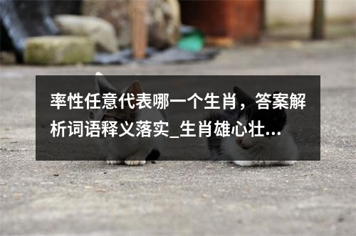 率性任意代表哪一个生肖，答案解析词语释义落实_生肖雄心壮志的张扬实时意释