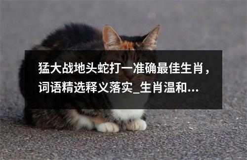 猛大战地头蛇打一准确最佳生肖，词语精选释义落实_生肖温和与机敏并存实时意释