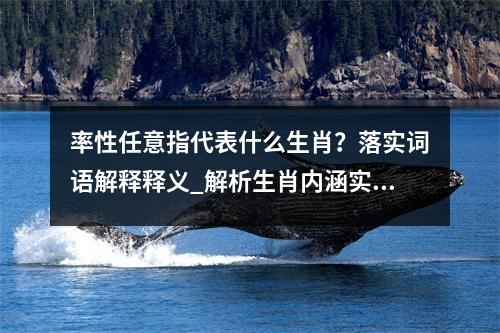 率性任意指代表什么生肖？落实词语解释释义_解析生肖内涵实时意释
