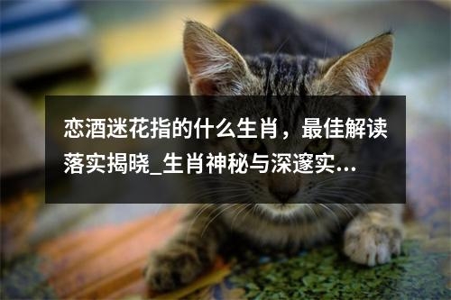 恋酒迷花指的什么生肖，最佳解读落实揭晓_生肖神秘与深邃实时意释