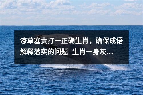 潦草塞责打一正确生肖，确保成语解释落实的问题_生肖一身灰更显的谨慎与机敏实时意释