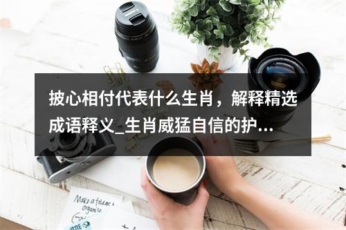 披心相付代表什么生肖，解释精选成语释义_生肖威猛自信的护航者实时意释