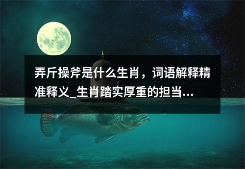 弄斤操斧是什么生肖，词语解释精准释义_生肖踏实厚重的担当实时意释