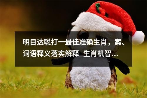明目达聪打一最佳准确生肖，案、词语释义落实解释_生肖机智多变的梦中精灵实时意释