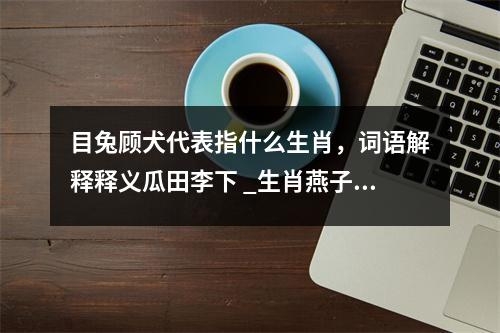 目兔顾犬代表指什么生肖，词语解释释义瓜田李下 _生肖燕子的翩翩归航实时意释