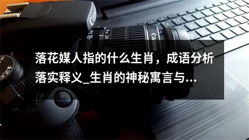 落花媒人指的什么生肖，成语分析落实释义_生肖的神秘寓言与象征实时意释